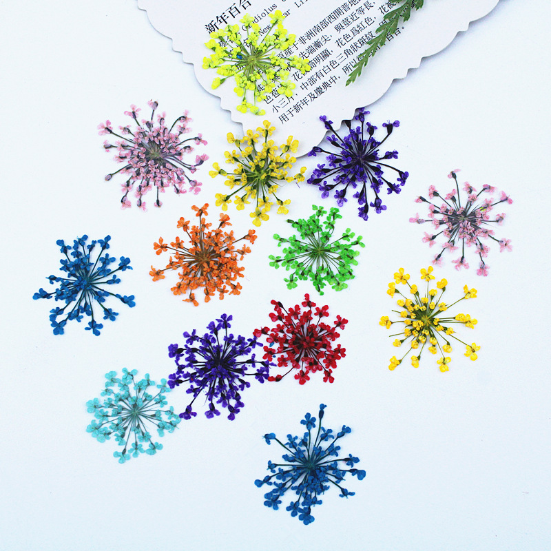 500pcs Lace Flowers Dried Flow - Resin Art Baby recension och pris